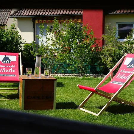 Murg Im Schwarzwaldhaeusle * Freudenstadt